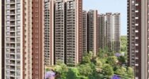 KALYANI LIVING TREE
