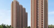 KALYANI LIVING TREE