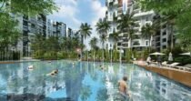 MYHNA ORCHID
